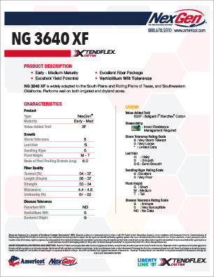 NG 3640 XF