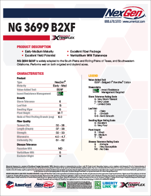 NG 3699 B2XF
